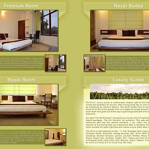 Deluxe King Suite
